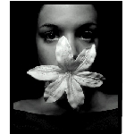 blossom01.jpg
Poet zobrazen: 2384 (6515.9074 dn) pr.=0.3659
Rozmr: 343 x 402 pixel
Velikost: 38.21 kB