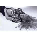 missnet-sejmout0008.jpg
Počet zobrazení: 1516 (6734.9384 dní) pr.=0.2251
Rozměr: 874 x 600 pixel
Velikost: 73.71 kB