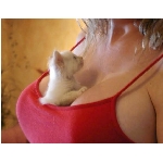 prsa.jpg
Poet zobrazen: 3950 (6532.9295 dn) pr.=0.6046
Rozmr: 571 x 444 pixel
Velikost: 114.772 kB