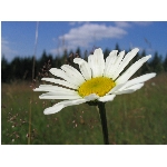 Zobrazeno: 12622 (6512.2425 dn) pr.=1.9382 
Znmka: 2.0088 (1481 x) 
SMS bod: 0/0
