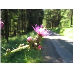 m144_4466.jpg
Poet zobrazen: 3389 (6529.4288 dn) pr.=0.5190
Rozmr: 1600 x 1200 pixel
Velikost: 414.456 kB