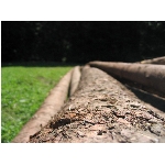 m144_4487.jpg
Poet zobrazen: 3635 (6529.5715 dn) pr.=0.5567
Rozmr: 1600 x 1200 pixel
Velikost: 413.868 kB