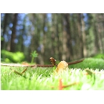 m144_4500.jpg
Poet zobrazen: 3628 (6529.5722 dn) pr.=0.5556
Rozmr: 1600 x 1200 pixel
Velikost: 382.149 kB