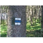 m145_4512.jpg
Poet zobrazen: 3730 (6529.4288 dn) pr.=0.5713
Rozmr: 1600 x 1200 pixel
Velikost: 679.248 kB