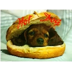 hotdog.jpg
Poet zobrazen: 3684 (6527.9198 dn) pr.=0.5643
Rozmr: 550 x 403 pixel
Velikost: 24.509 kB