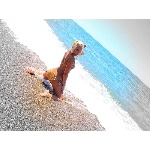 d11.jpg
Počet zobrazení: 1430 (5707.1943 dní) pr.=0.2506
Rozměr: 600 x 450 pixel
Velikost: 191.148 kB