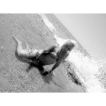 d5.jpg
Počet zobrazení: 1349 (5707.1946 dní) pr.=0.2364
Rozměr: 600 x 450 pixel
Velikost: 142.136 kB